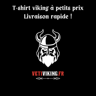 Viking t-shirt at low prices Fast delivery!